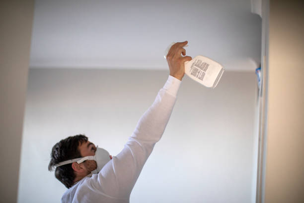 Best Residential Mold Removal  in Thorsby, AL