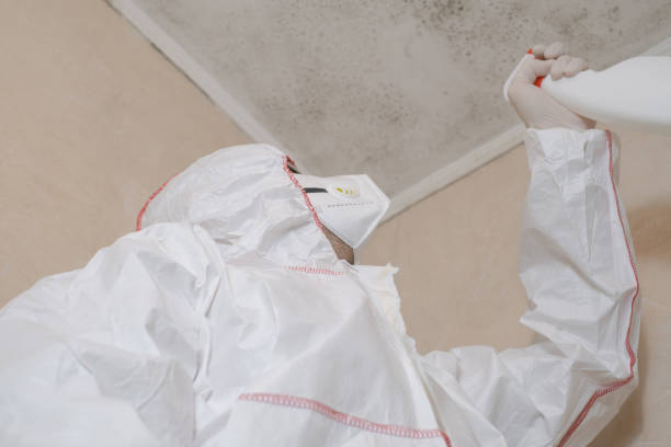 Best Residential Mold Removal  in Thorsby, AL
